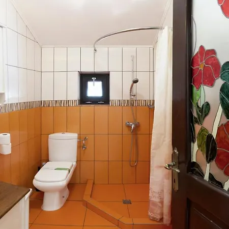 Pension Andra'S House Horezu Extérieur photo