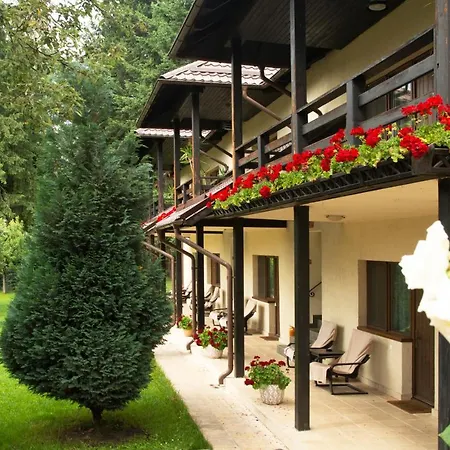 Pension Andra'S House Horezu Extérieur photo