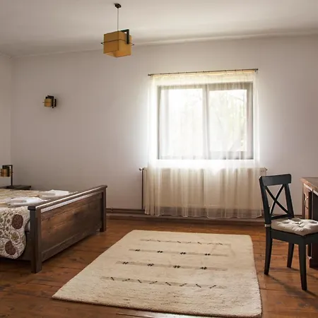 Pension Andra'S House Horezu Extérieur photo