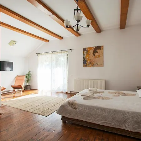 Pension Andra'S House Horezu Extérieur photo
