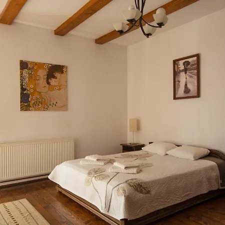 Pension Andra'S House Horezu Extérieur photo