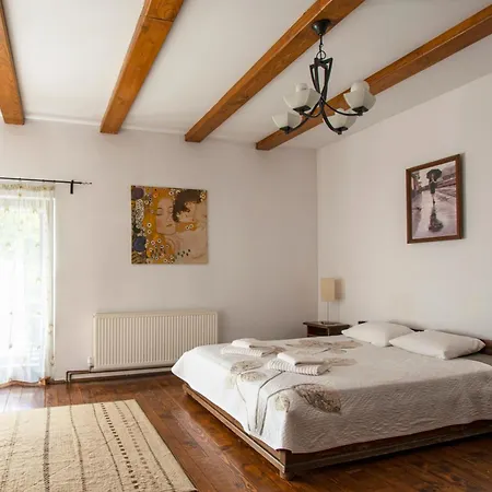 Pension Andra'S House Horezu Extérieur photo