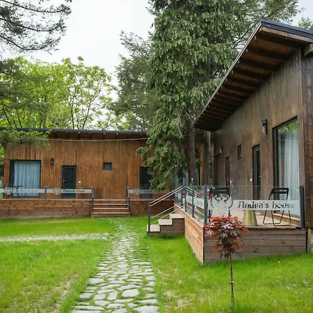 Pension Andra'S House Horezu Extérieur photo