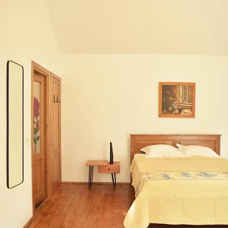 Pension Andra'S House Horezu Extérieur photo