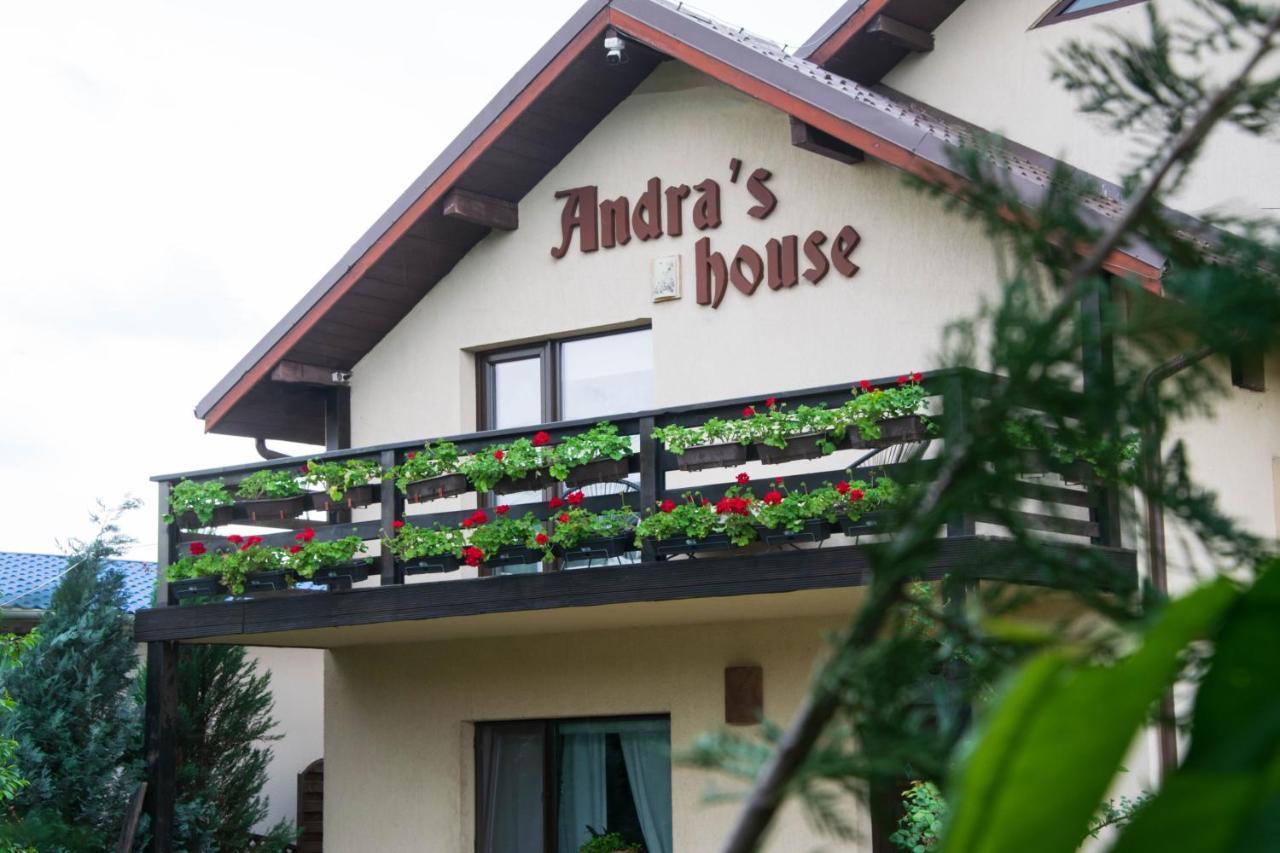 Andra's House Horezu