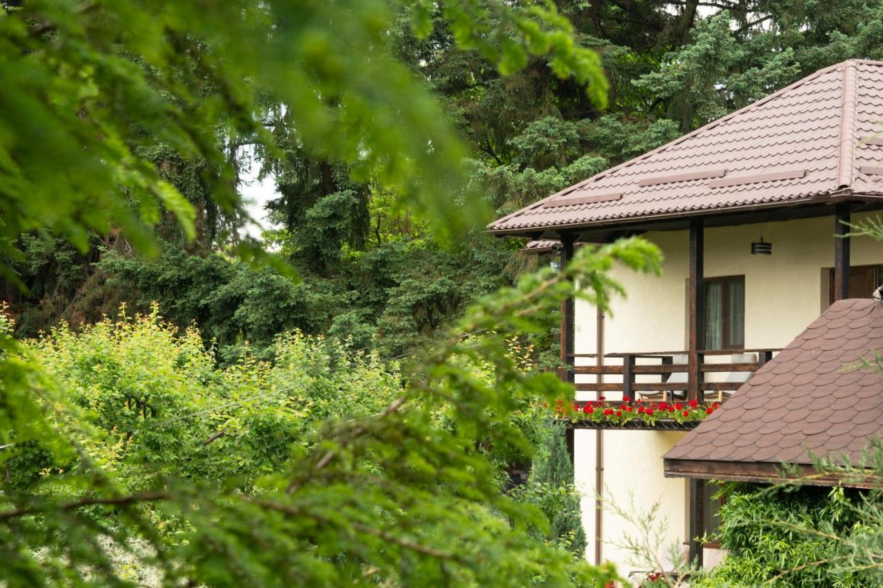 Andra's House 4* Horezu