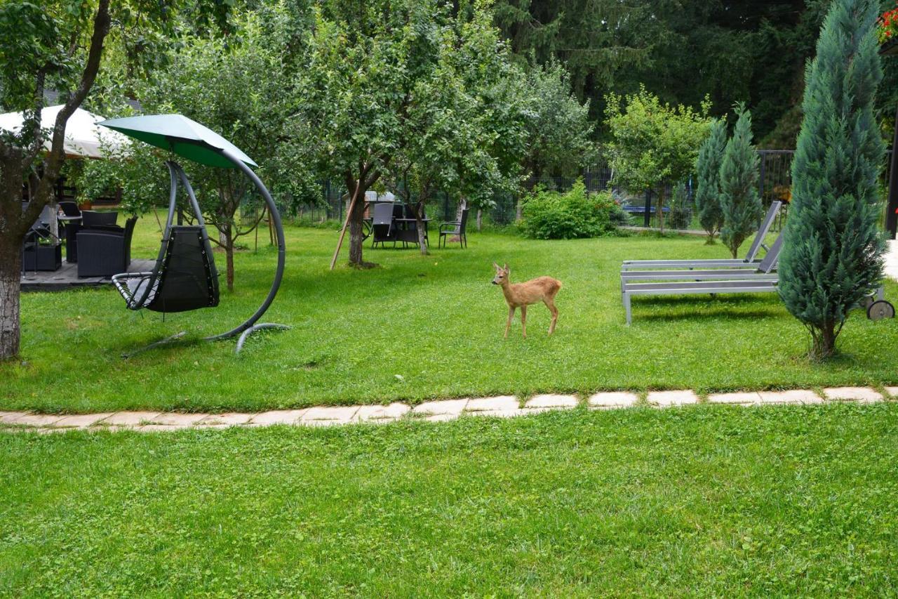 Andra's House Maison d'hôtes 4*
