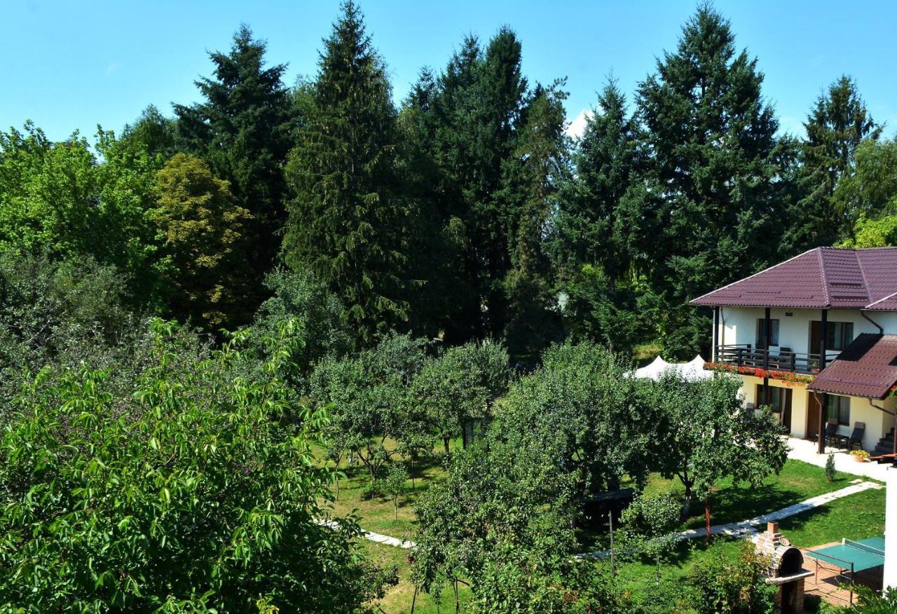 Andra's House Maison d'hôtes